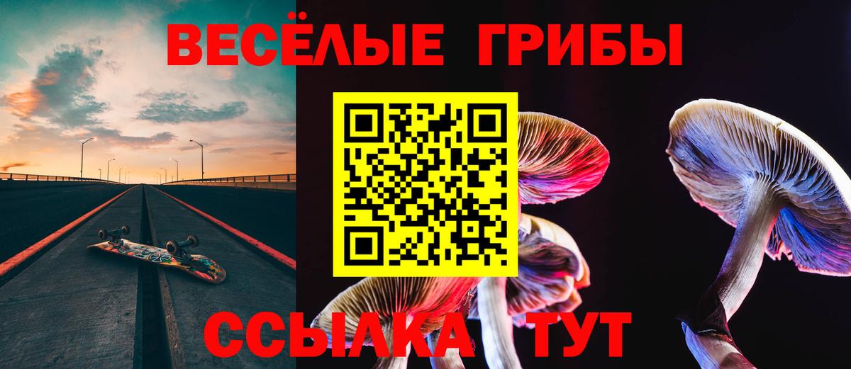 Галлюциногенные грибы Cubensis  Галлюциногенные грибы Psilocybine cubensis  Вход с VPN  Томск 